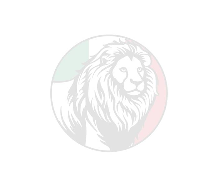 Annual Verrazzano Day Award Dinner Placeholder Image